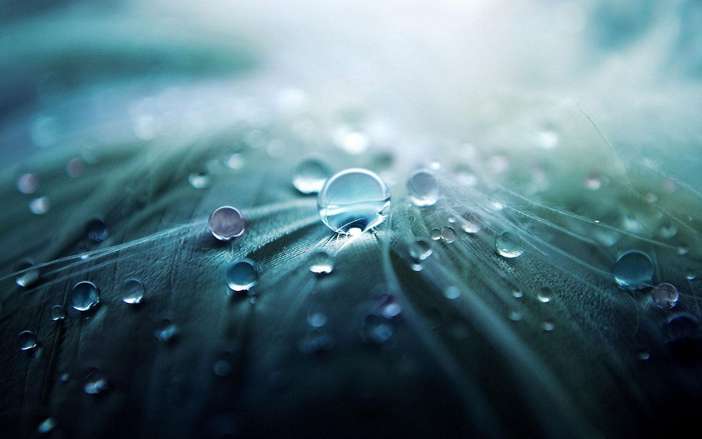 Abstract bubbles