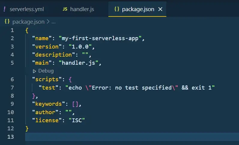 Default package.json