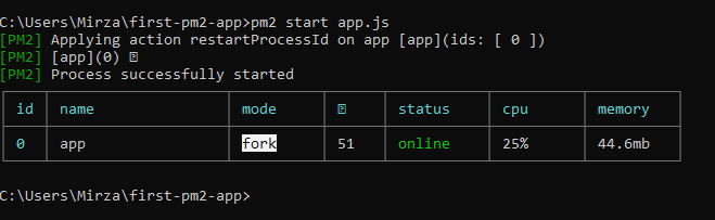 PM2 status